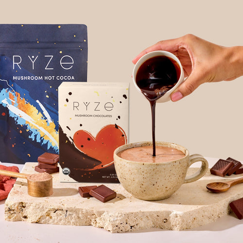 Chocolate Indulgence Bundle - Fresh Pair