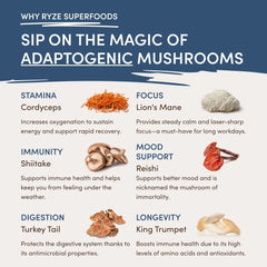 RYZE Nighttime Mushroom Cocoa Starter Bag - Home Hold