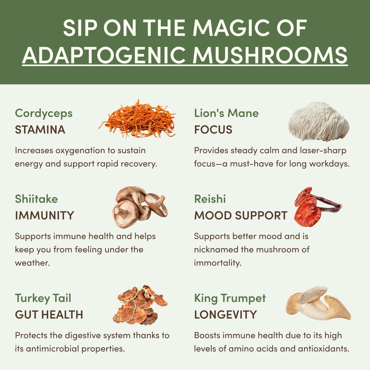 RYZE Ritual Set (Matcha + Coffee) - Classic Pick