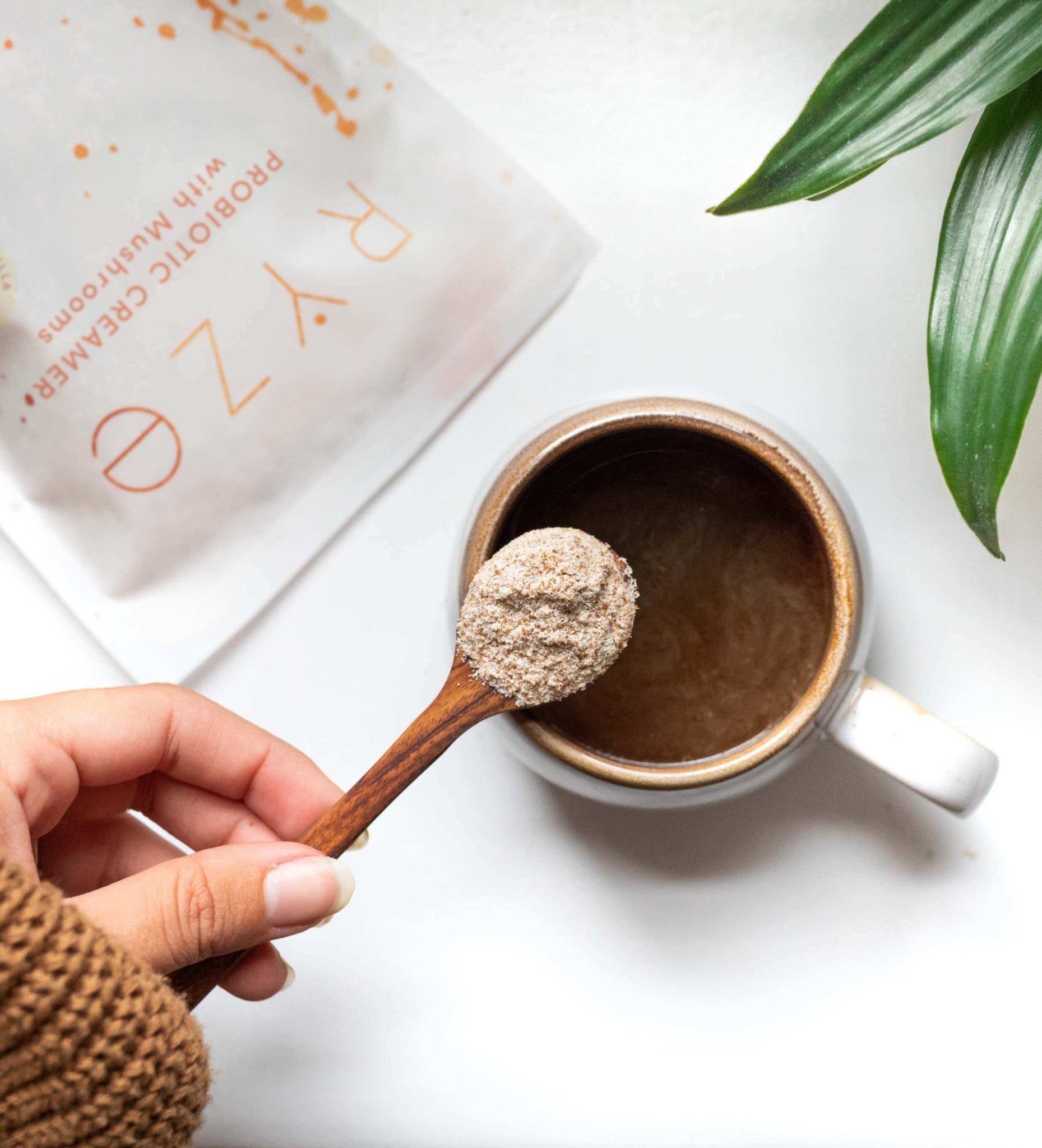 Creamer (30 Servings) - Active Ready
