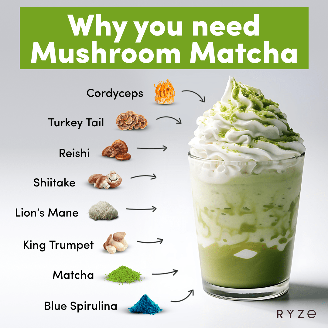 RYZE Matcha - with 6 Organic Adaptogenic Mushrooms Grown In USA and Ceremonial-Grade Japanese Matcha - Weekend Pair