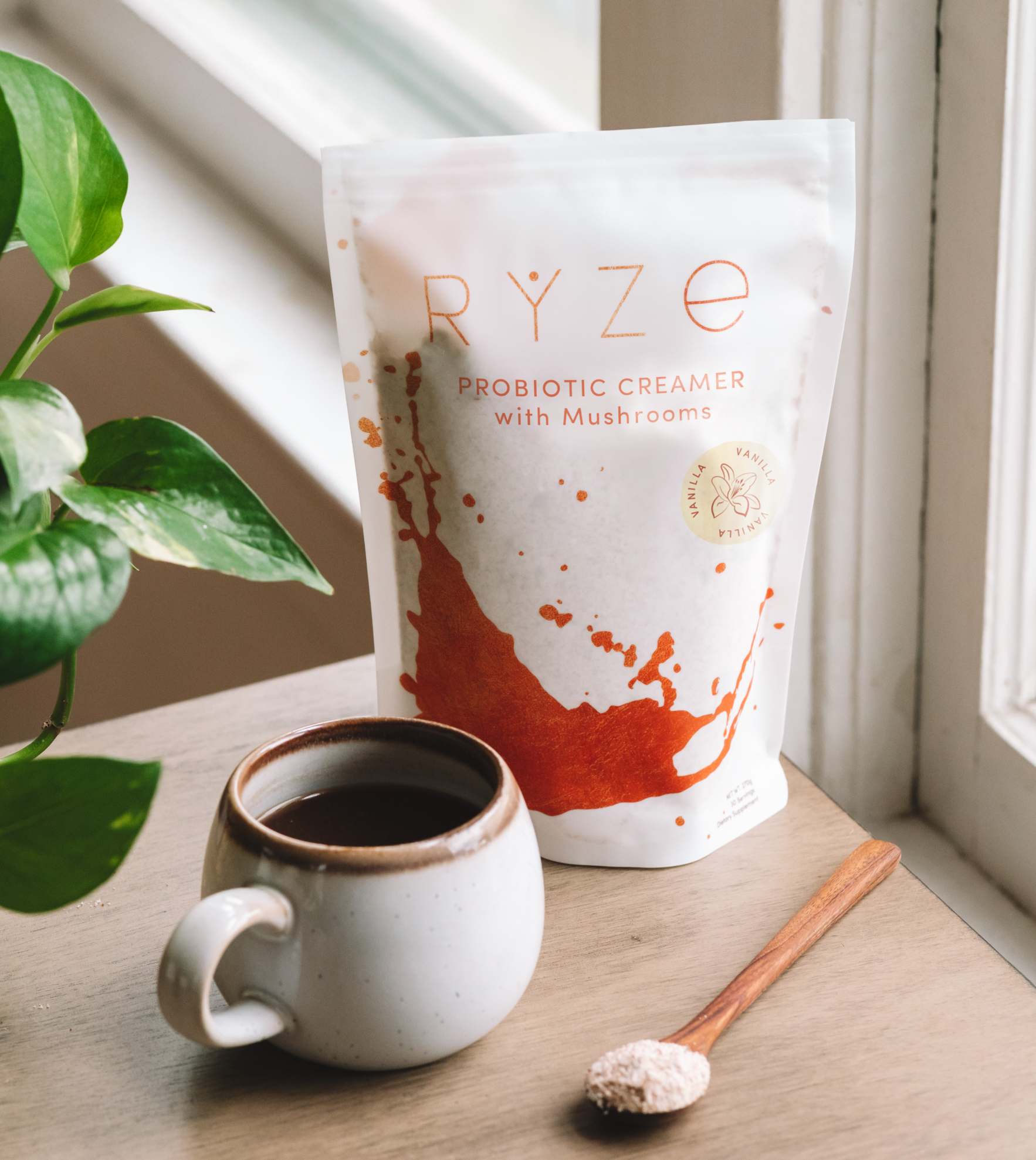 Try our Creamer for 50% OFF! - Premium Choice